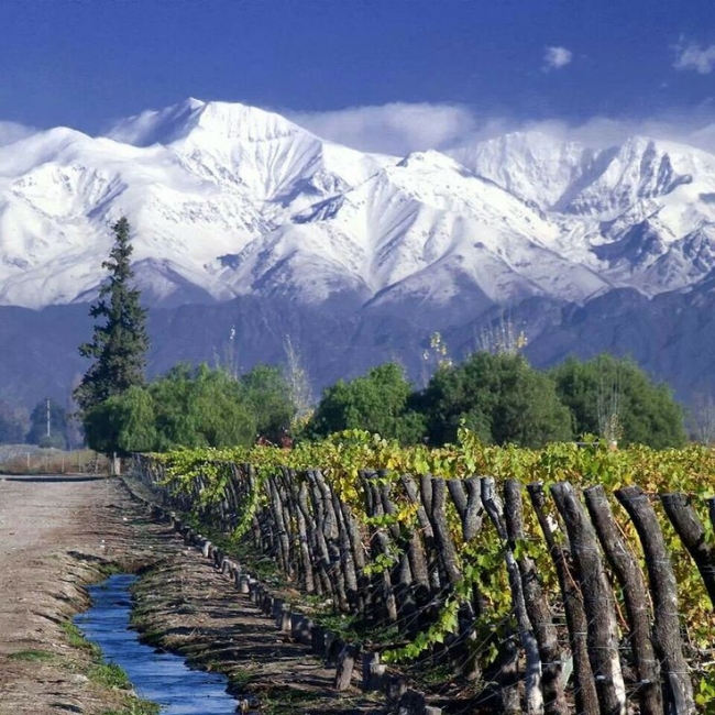 Viaje Fiesta de la Vendimia Mendoza