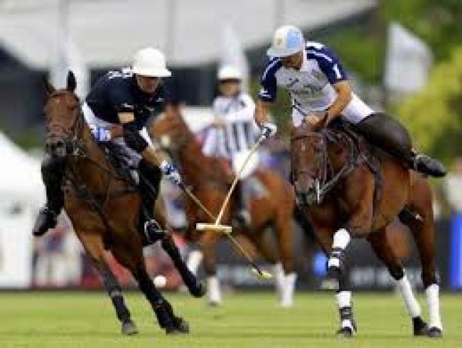 Tour Argentine Polo Season 