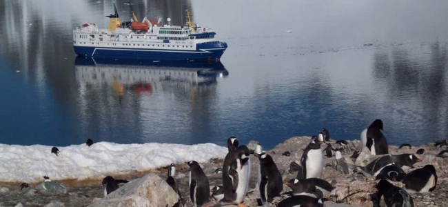 Viaje en Cruceros a la Antrtida