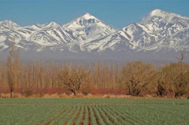 Paquete a Mendoza 2021 