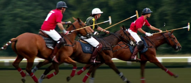 Buenos Aires Polo day tour 