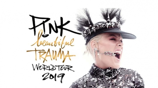 Viaje a ver a Pink a Miami