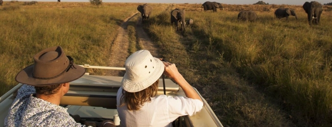 Precio Paquete a Serengeti Zanzibar desde Argentina