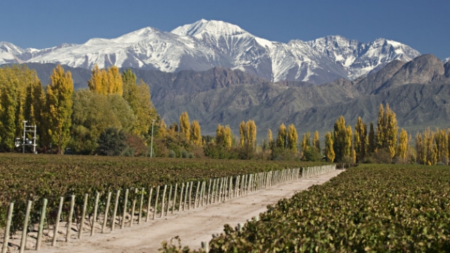 Viagem a Mendoza Argentina. Tour de vinhos Tour de vincolas