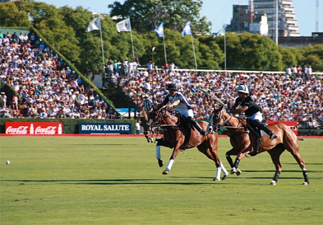 Paquete para ver Polo en Argentina todo el ao