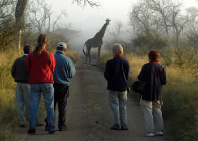 Viaje grupal a Sudfrica en Mayo desde Argentina