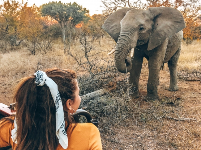 Paquete a Sudfrica con Safari desde Argentina