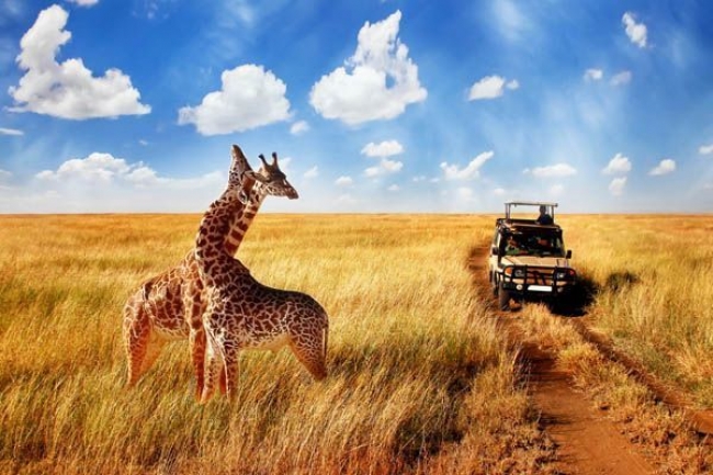 Safari a Kenia desde Argentina 