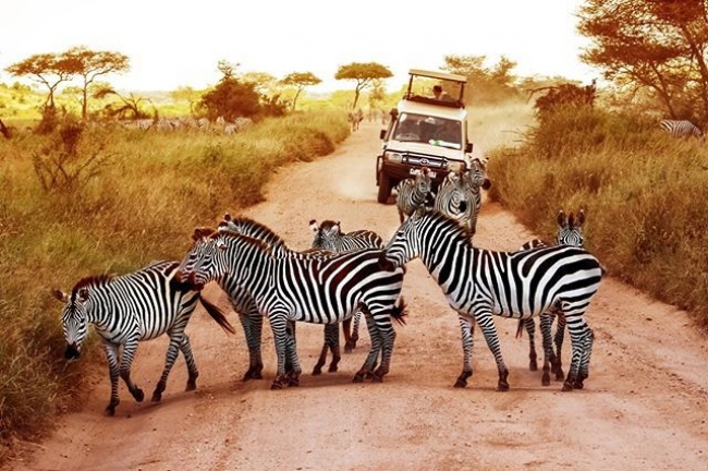 Safari a Tanzania desde Argentina