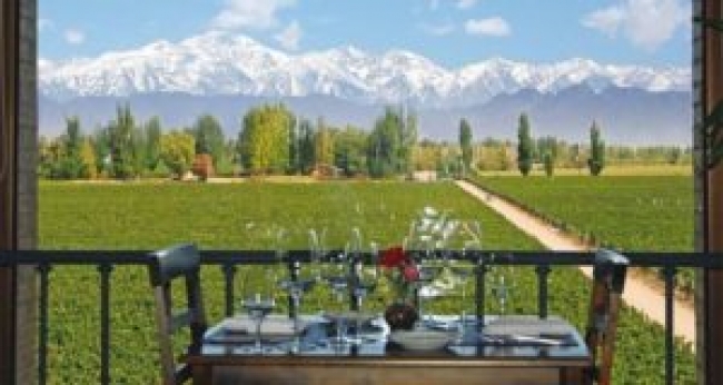 Tour a la Ruta del vino argentino a Mendoza y Salta
