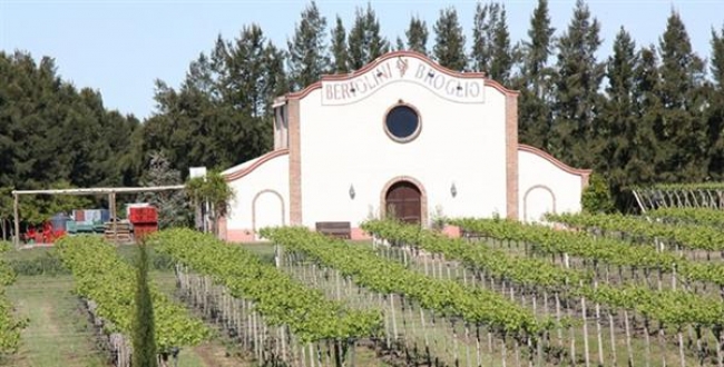 Paquete a las bodegas del Uruguay 