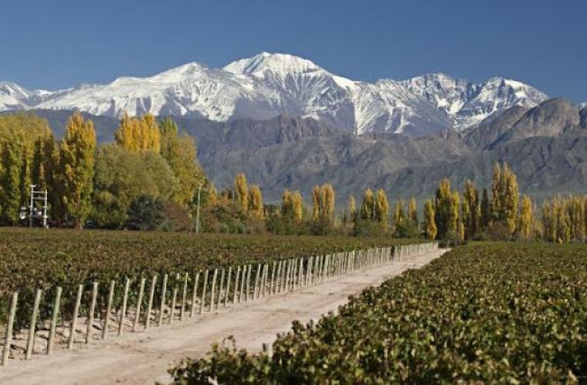 Paquete a Cuyo Mendoza 