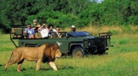 Paquete a Sudafrica desde Argentina