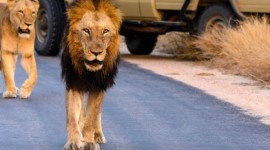 Paquete a Mozambique con safari en Sudfrica desde Argentina