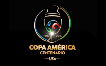 Viaje a la Copa amrica  