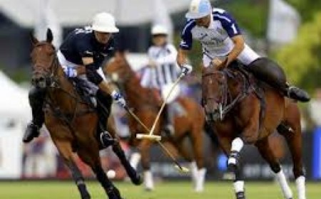 Tour Argentine Polo Season 