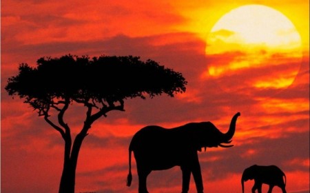 VIAJE ETIOPIA, KENIA Y TANZANI...
