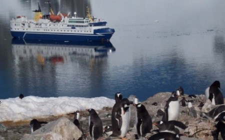 Antarctic Cruise Tour 