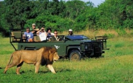 Paquete a Sud�frica desde Buen...