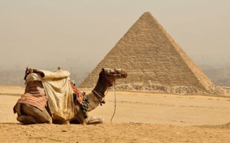 Paquete Dubai y Egipto con Cru...