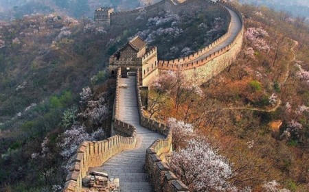 Viaje a China en Noviembre Sal...