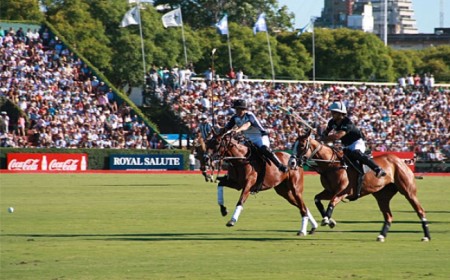 Paquete para ver Polo en Argen...