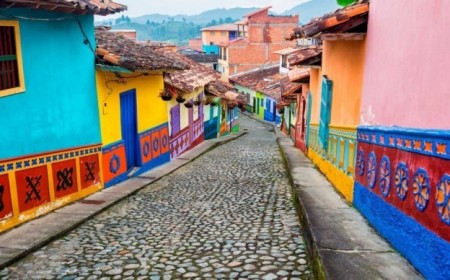 Salida grupal a Colombia acomp...