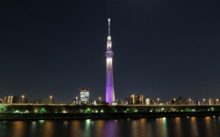 Paquete a Japn y Corea desde ...