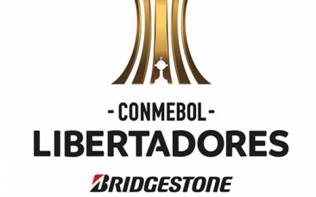 Viaje a la Final de la copa Li...
