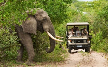 Paquete a Sudfrica Clsica en...