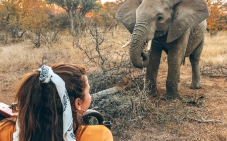  Salida grupal a Sud�frica des...