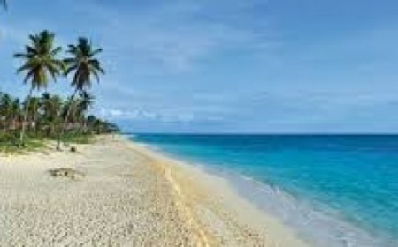 Paquete Punta Cana en Julio de...