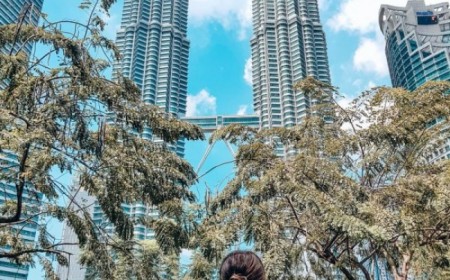 Paquete a Borneo Malasia desde...