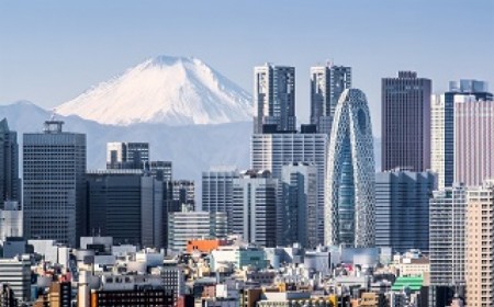 Paquete a Japon desde Argentin...