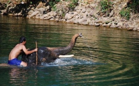 Paquete Andaman y Nicobar Indi...