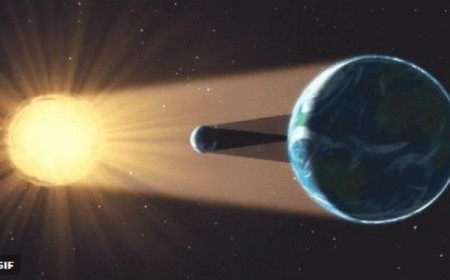 Viaje a ver el Eclipse Solar a...